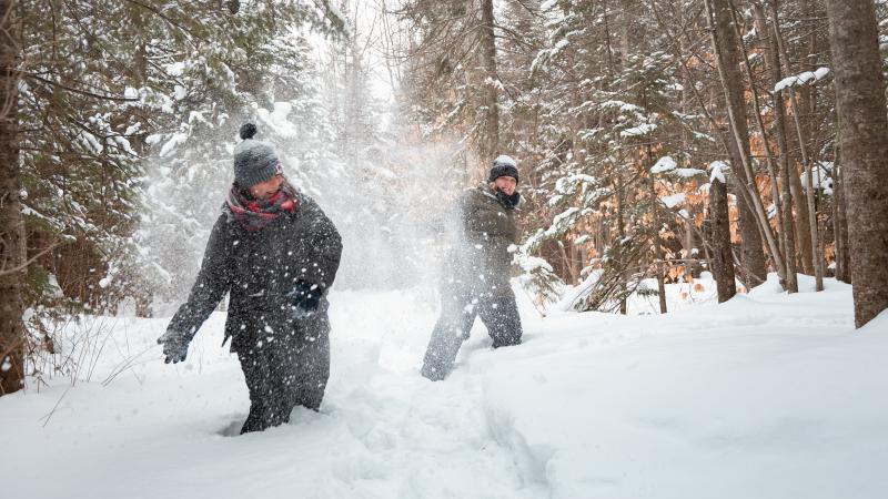 bataille de boules de neige hiver