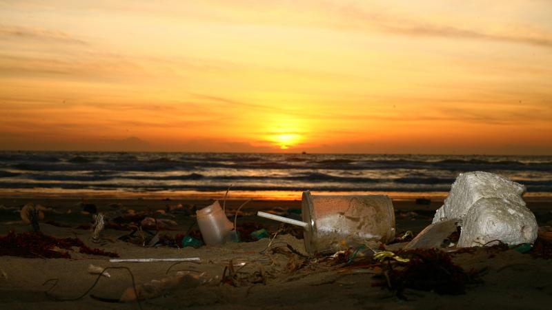 plage et bouteilles